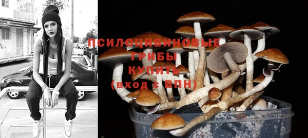 дмт Верхний Тагил